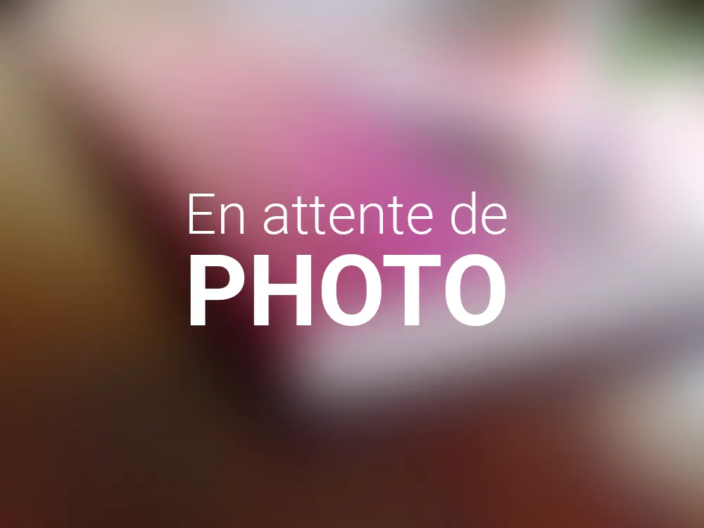 en-attente-photo-2 en-attente-photo-2